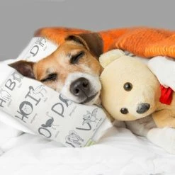 Hot Sale ✔️ KeaBabies Toddler Pillowcase For 13X18 Pillow, "Alphamals" Gray 🌟 -Sheets & Pillowcases Sales Shop unnamed file 1391