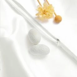 Best deal 👍 1 Pc Queen 25 Momme Pure Silk for Hair and Skin Zippered Pillowcase White - PiccoCasa 🔔 -Sheets & Pillowcases Sales Shop unnamed file 2398