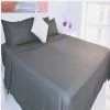 Budget 😍 Natalia Cavalletto Box Design Sheet Set - Christopher Knight Home Tan 🤩